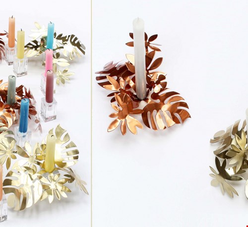 Mooi van Momantai Design Mooi van Momantai Design